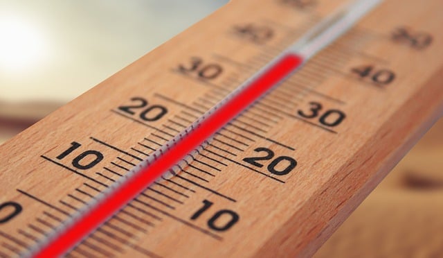 De veelzijdigheid van de digitale thermometer in het dagelijks leven